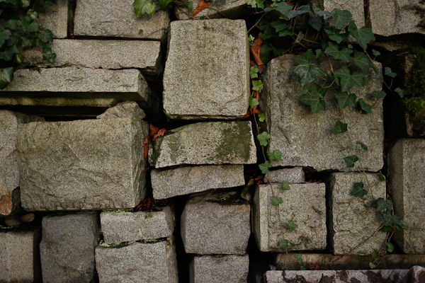 [Wall]